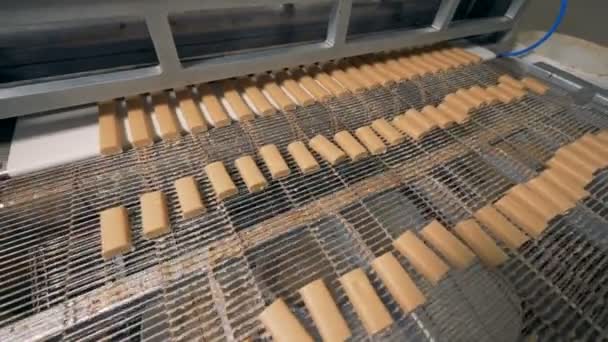 Production line of candies with nougat at confectionary shop. — Stock Video