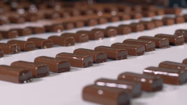 Крупный план шоколадных конфет с нугой на производстве . — стоковое видео