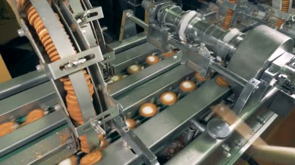 Attentive attitude to the production line for cookies by a worker. — Stock Video