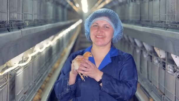 Vet woman smiles at camera, holding a chicken at a farm, while other chicken eat. 4K. — Stock Video