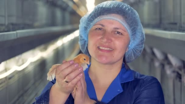 A mulher veterana tem uma miúda nas mãos, de perto. Mulher sorri para a câmera e segura um pouco de frango em suas mãos em uma fábrica . — Vídeo de Stock