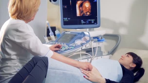 Gynaecoloog verricht een echografie procedure op een vrouwelijke patiënt — Stockvideo