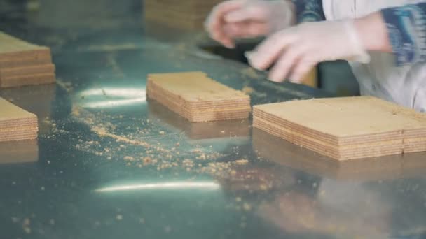 Handwerk met klaar wafels bij de fabricage van. — Stockvideo