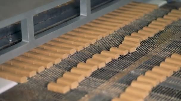 Equipo especial en la fábrica de dulces. Máquina de corte de caramelo . — Vídeos de Stock