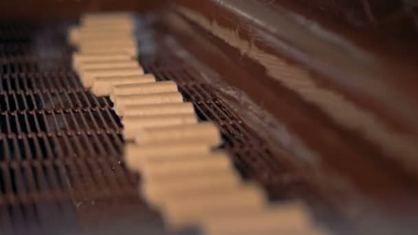 Het proces van productie chocolade snoep. Close-up. — Stockvideo