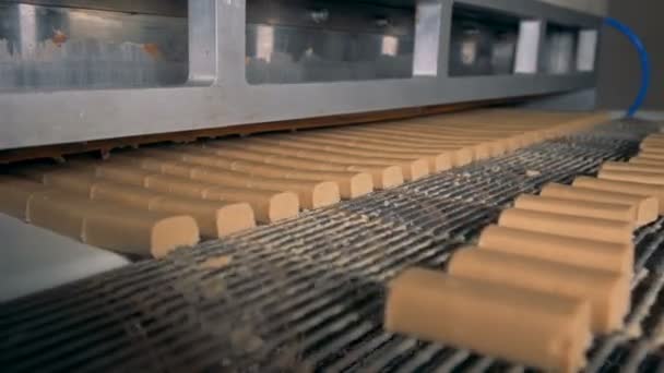 Peralatan khusus untuk memotong garis-garis permen di pabrik . — Stok Video