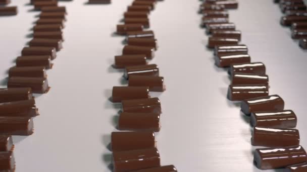 Linia do produkcji słodyczy w cukierni. — Wideo stockowe