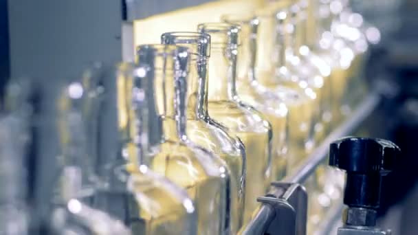 El transportador lleva botellas de vidrio en una fábrica. Primer plano. . — Vídeo de stock