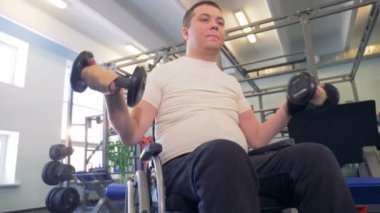Bir tekerlekli sandalye güçlü atlet elleri dumbbells ile devre dışı.
