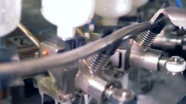 Un grand instrument lave la bouteille, fermer . — Video