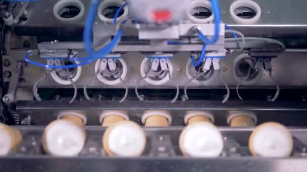Consumptie-ijs productielijn. Ice cream in bekers, kegel bewegen op een transportband van ice cream factory. — Stockvideo