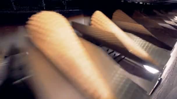 Vergrote weergave op wafels productielijn. — Stockvideo