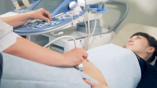 Professionele ultrasoon sessie wordt uitgevoerd op een zwangere patiënt — Stockvideo