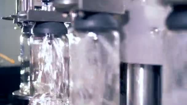 Glazen flessen gevuld met wodka in moderne fabriek. — Stockvideo