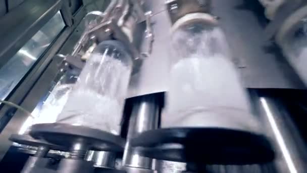 Een proces van gieten alcohol aan flessen, close-up. — Stockvideo