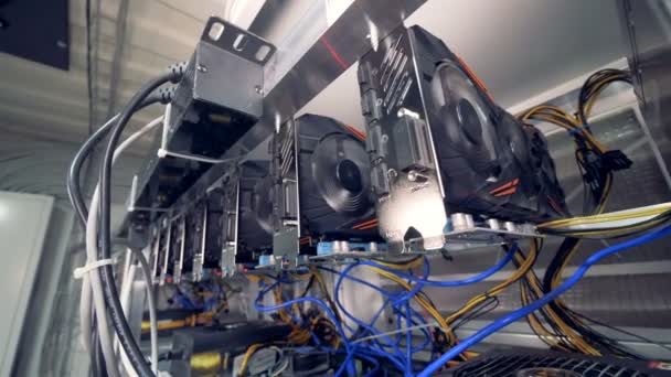 Unidades de processamento gráfico estão minando bitcoins em um equipamento de mineração — Vídeo de Stock
