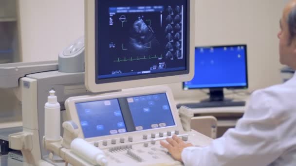 Een volwassen arts is een procedure van echografie houden en kijken naar het scherm — Stockvideo