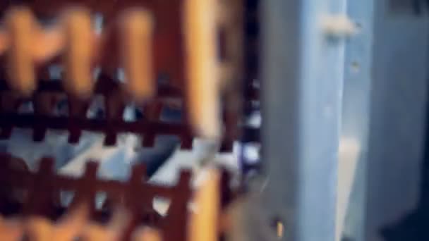 Une rangée d'œufs blancs se dirige vers une voie de transport à travers un conduit métallique 