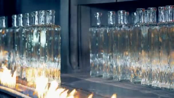 Wyposażenie specjalne fabryki sortuje butelki w grupach po pasteryzacji, przenosząc je na linii montażowej. 4k. — Wideo stockowe