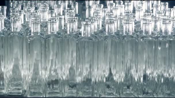 De nombreuses bouteilles en verre sont placées sur une chaîne de montage dans une usine. 4K . — Video