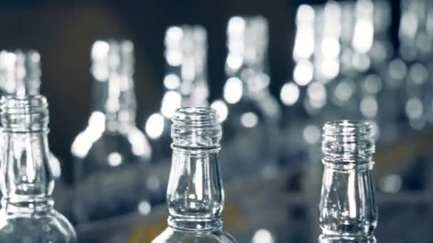 Rij van glazen flessen op een transportband, close-up. — Stockvideo