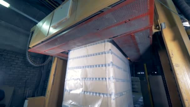 Une machine d'usine emballe les bouteilles en tas dans une usine. 4K . — Video