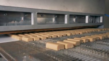 Snack bar bir fabrika makine onları keser bir konveyör gidin. 4k.