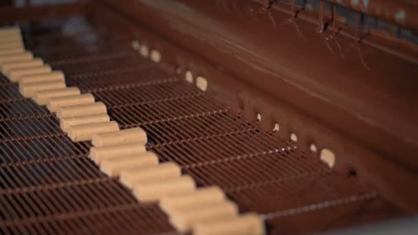 Γλυκά πάνε σε ένα μεταφορέα, να πάρει καλύπτονται με τη σοκολάτα σε ένα εργοστάσιο. — Αρχείο Βίντεο