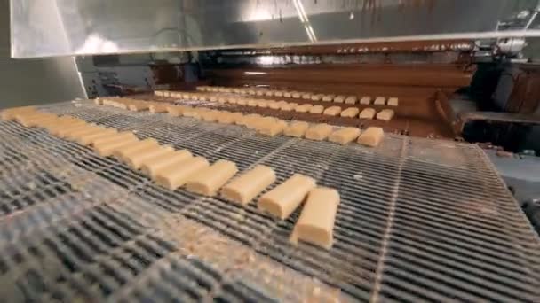 Los caramelos se mueven en una línea de montaje para ser cubiertos con chocolate, de cerca . — Vídeos de Stock