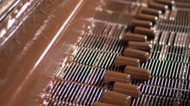 Çikolata şekerleme gıda factorys makinesi kapsar.