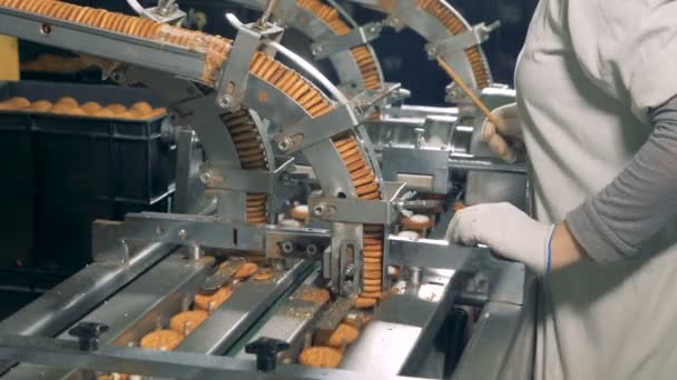 Een vrouwelijke werknemer houdt een stok, terwijl het controleren van de cookies op een regel verplaatsen. 4k. — Stockvideo