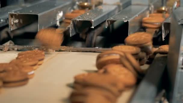 Las galletas se mueven de una línea de montaje en una fábrica. 4K . — Vídeos de Stock