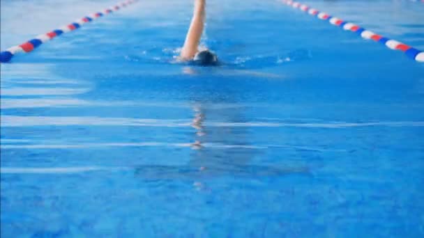 Een persoon zwemt in een zwembad, close-up. — Stockvideo