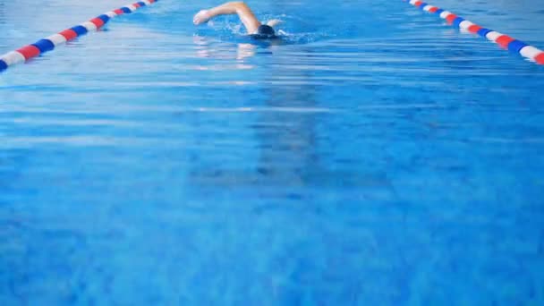 Las nadadoras participan en una competición de natación en una piscina. 4K . — Vídeos de Stock