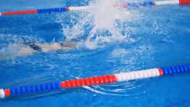 Eine Frau schwimmt das Krabbeln auf einer Poolbahn. 4k. — Stockvideo