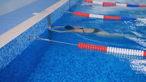 Il nuotatore femminile raggiunge la fine di una corsia, poi spinge indietro. 4K . — Video Stock