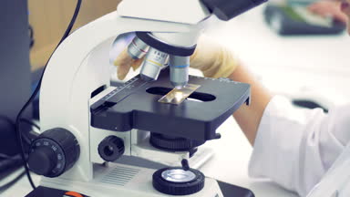 Bir örnek bir mikroskopla yakın çekim.