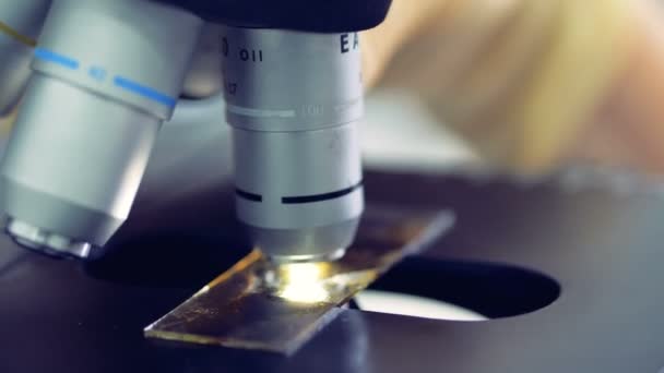 Las lentes del microscopio giran, mientras que un médico observa una muestra. 4K . — Vídeos de Stock