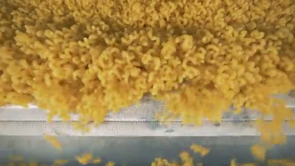 Macaroni sur le convoyeur sur une chaîne de montage. 4K . — Video