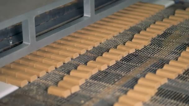 Snoepjes in een fabriek van de voedsel verplaatsen op een transportband, close-up. — Stockvideo