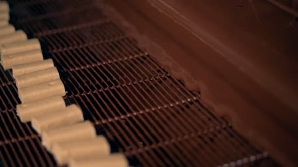 Een speciale machine giet chocolade op snoepjes, close-up. — Stockvideo