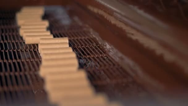 Jassen snoepjes van de apparatuur van de fabriek met chocolade, close-up. — Stockvideo