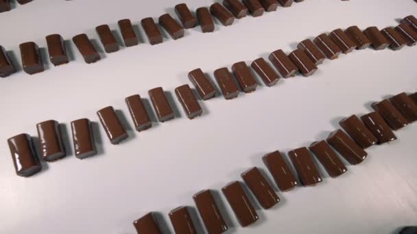 Chocolade snoepjes verplaatsen op een lopende band in een fabriek. — Stockvideo