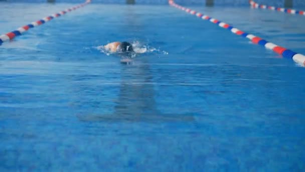 Jedna kobieta pływa w basenie, zbliżenie. — Wideo stockowe
