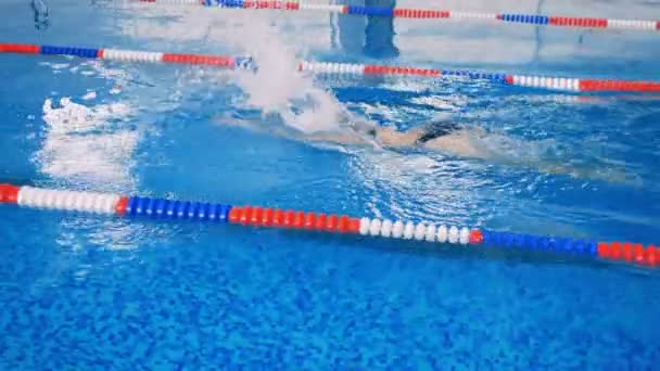 Um atleta nada rastejando em uma grande piscina . — Vídeo de Stock