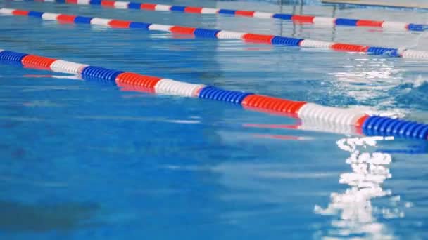 Un athlète nage seul dans une piscine. 4K . — Video