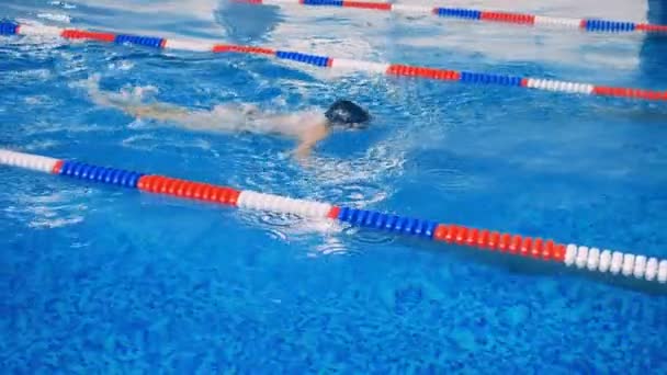 Een atleet doet opleiding in een pool. — Stockvideo