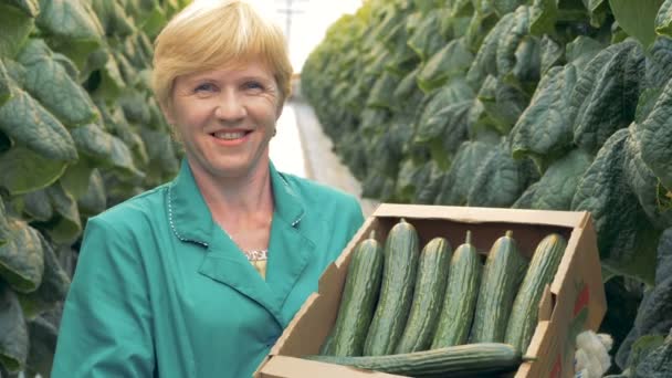 Portret van een tuinman glimlacht op camera, houden een doos vol met komkommers. — Stockvideo