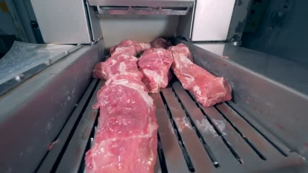 La carne se mueve en un transportador, de cerca . — Vídeo de stock