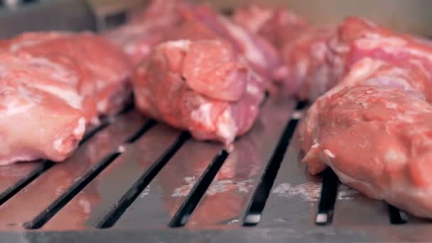 En fabriksarbetare som placeras kött på ett transportband, närbild. — Stockvideo